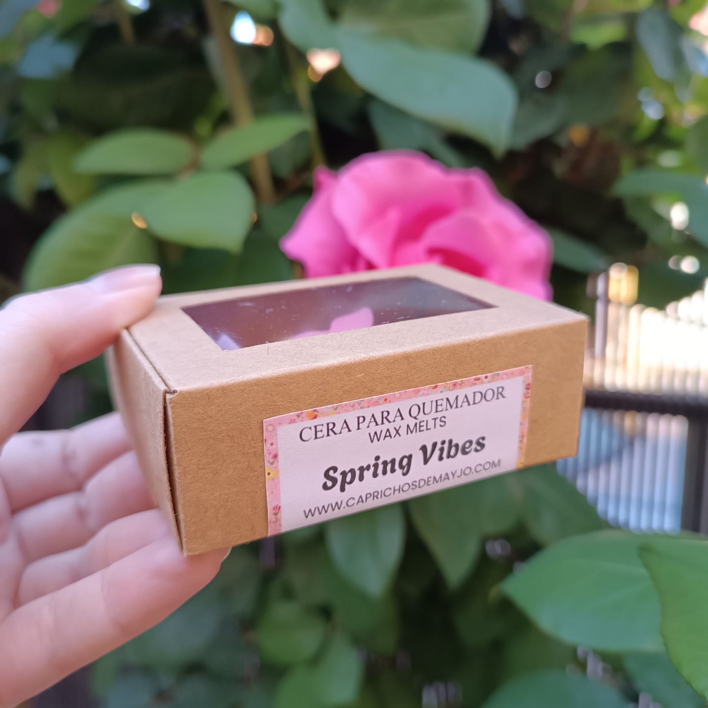 Wax Spring Vibes
