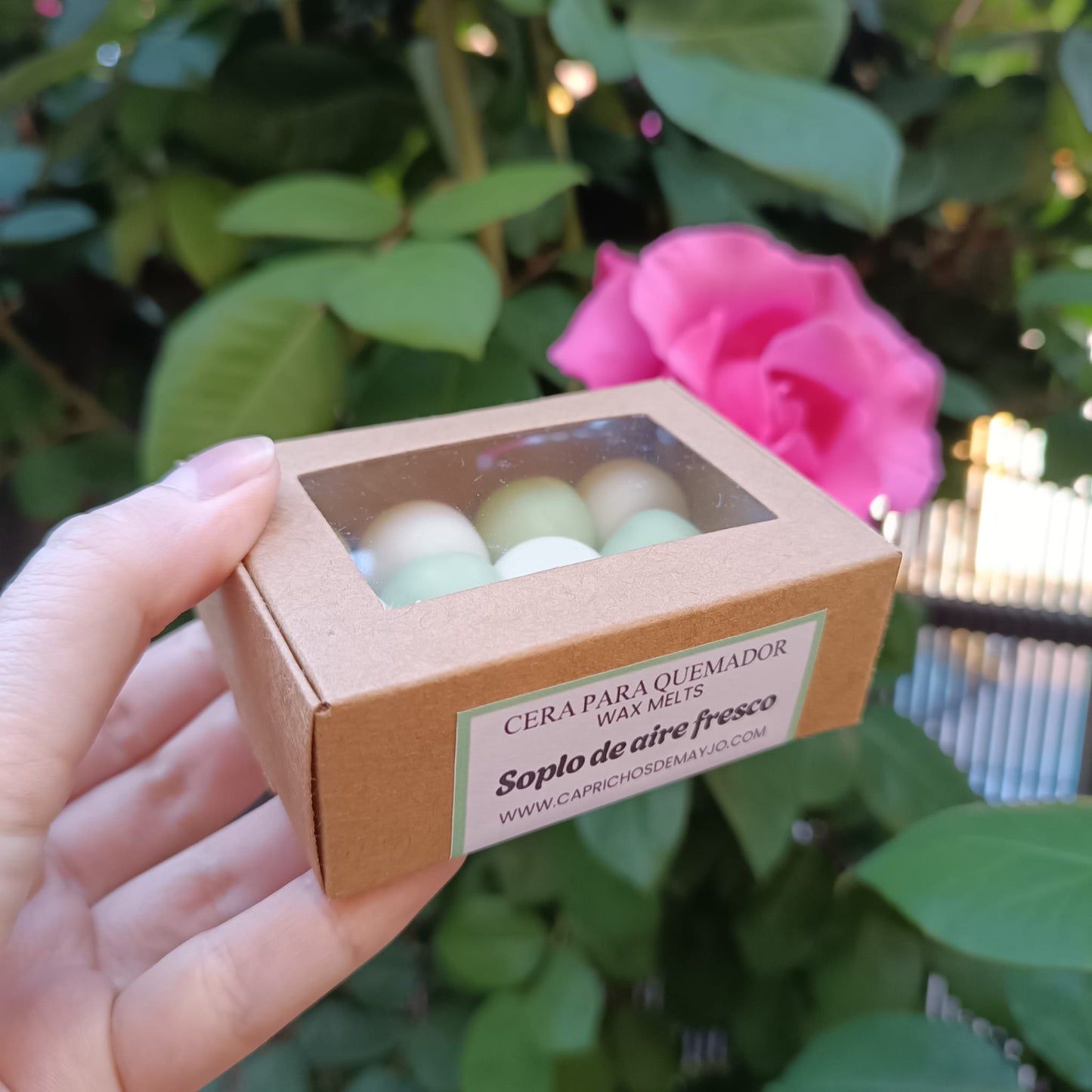 Waxmelts Soplo de aire fresco